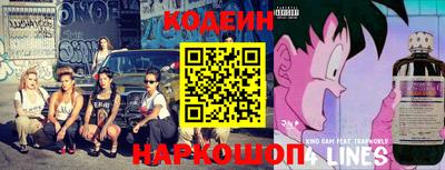 индика Можга