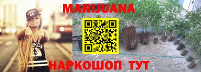 индика Можга