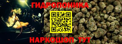стафф Моздок